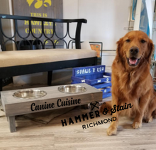PAWsome Projects Hammer@Home Kits
